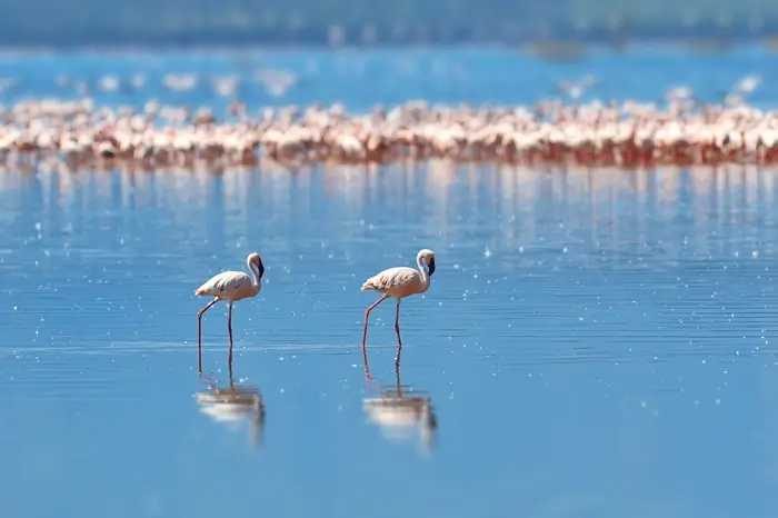Tanzania