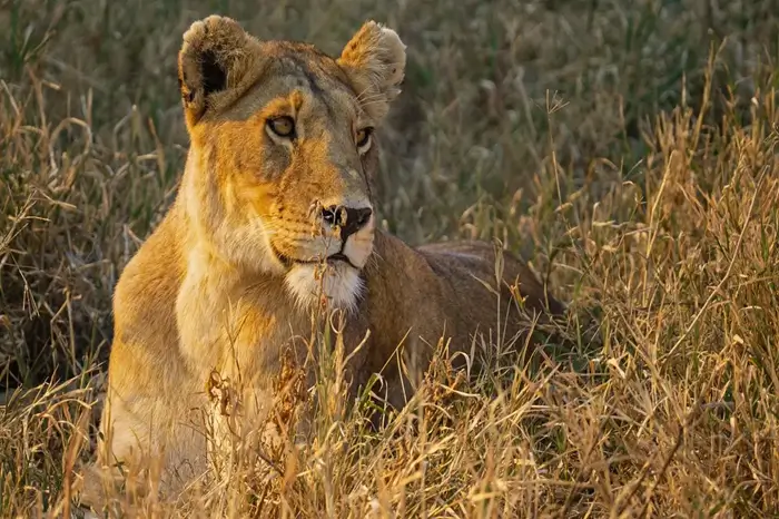 Tanzania
