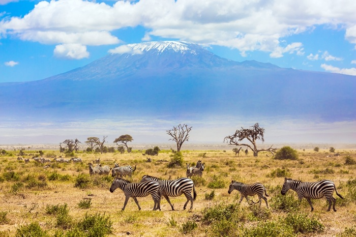 18-DAYS-KENYA-LOTS-SAFARI-BEACH-700