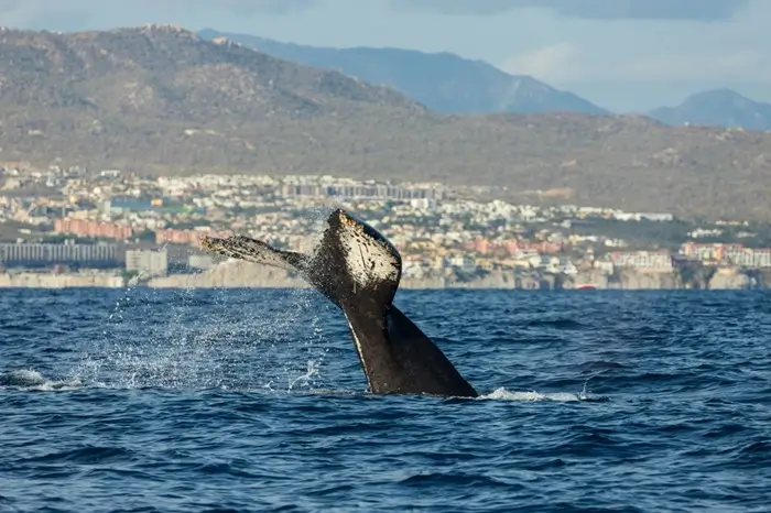 South Africa