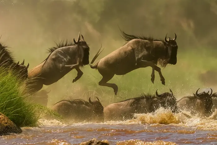 Serengeti-National-Park-central-westeast - 1