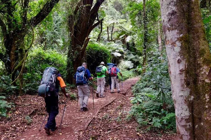 lemosho_route_kili