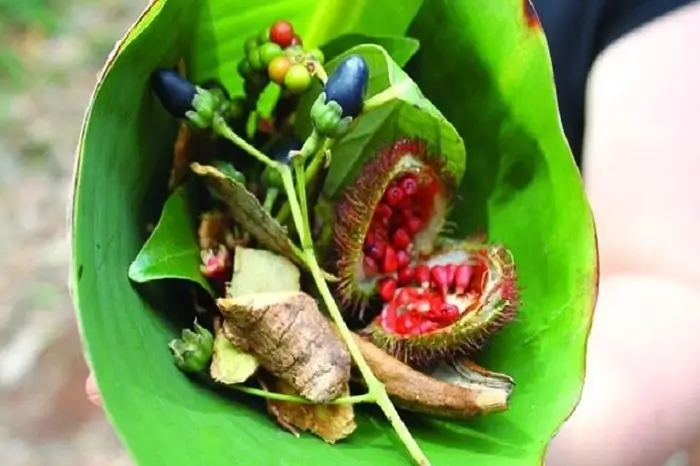 Food & Culinary