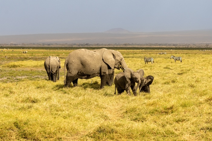 Kenya