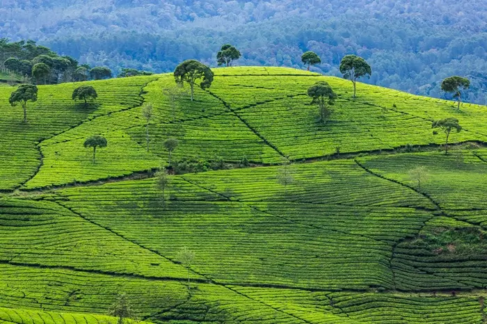 Uganda