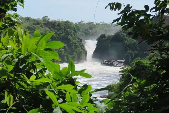 Murchison Falls 1