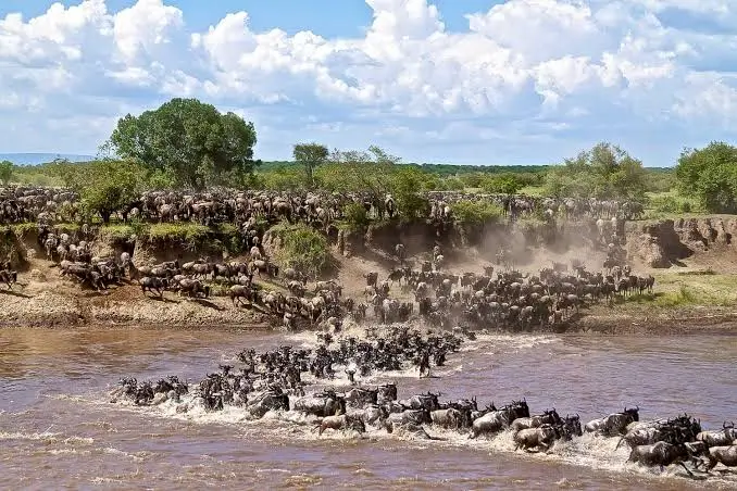 Serengeti Tanzania