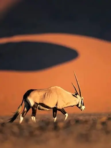 Sossusvlei Namibia